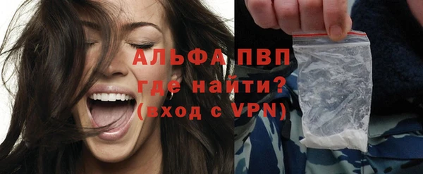 спиды Ладушкин