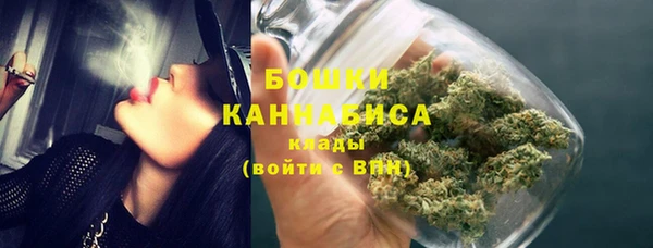 спиды Ладушкин