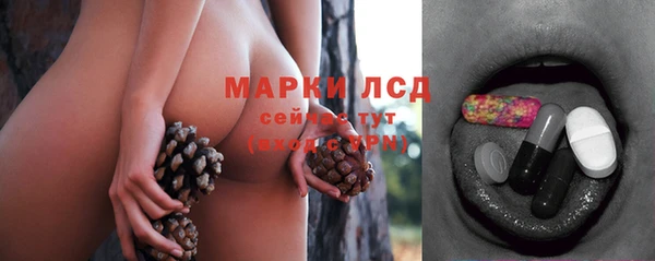 гашик Лабытнанги