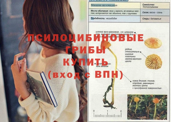 mdma Лагань