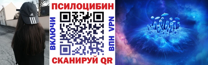 MEGA ТОР  Павловская  Псилоцибиновые грибы прущие грибы 